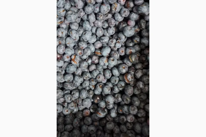 ЛОХИНА заморожена- фото № 2