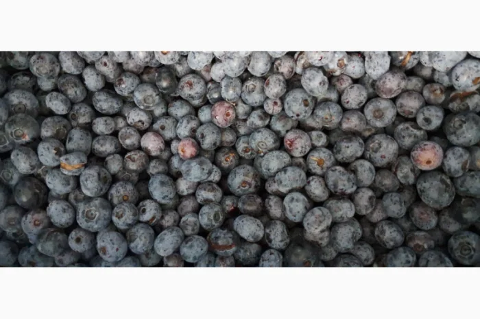 ЛОХИНА заморожена- фото № 3