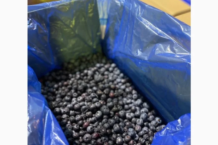 Продается замороженная голубика урожая 2023 года- фото № 1