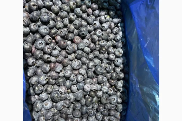 Продается замороженная голубика урожая 2023 года- фото № 3