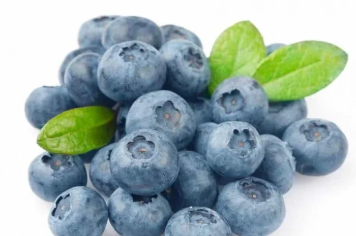 Куплю лохину- фото № 1