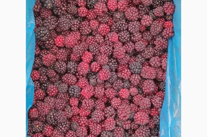 Продам ожину культивовану. Свіжоморожена- фото № 1