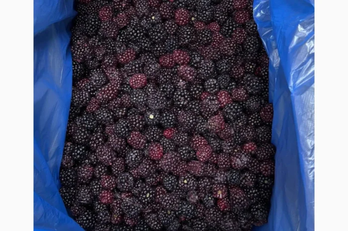 Продам заморожену культивовану Ожину- фото № 3