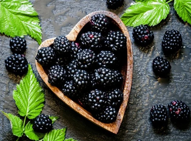 Закупляємо оптом свіжу ягоду ожини- фото № 1