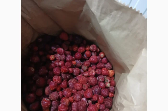 Продам полуницю українську заморожену сезону 2025- фото № 1