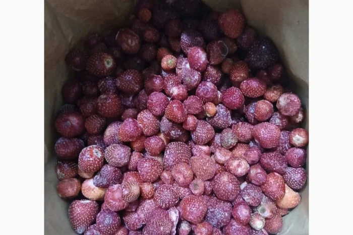 Продам полуницю українську заморожену сезону 2025- фото № 2