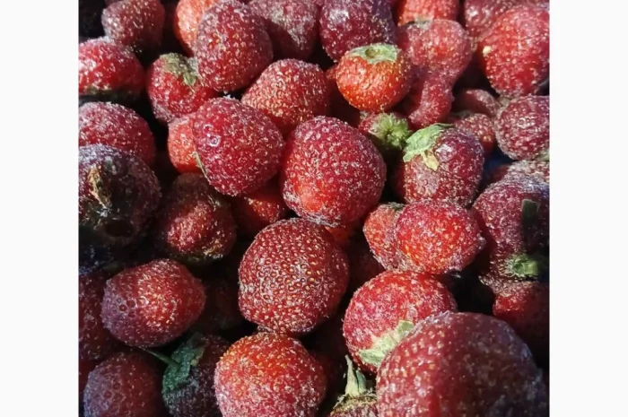 Продам полуницю заморожену з хвостиком- фото № 1