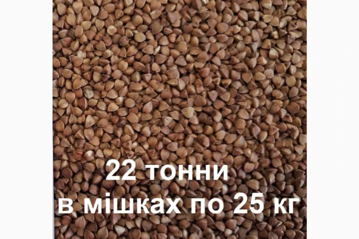 Гречана крупа- фото № 1