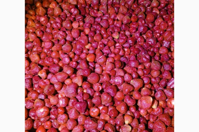 Продам заморожену полуницю- фото № 6