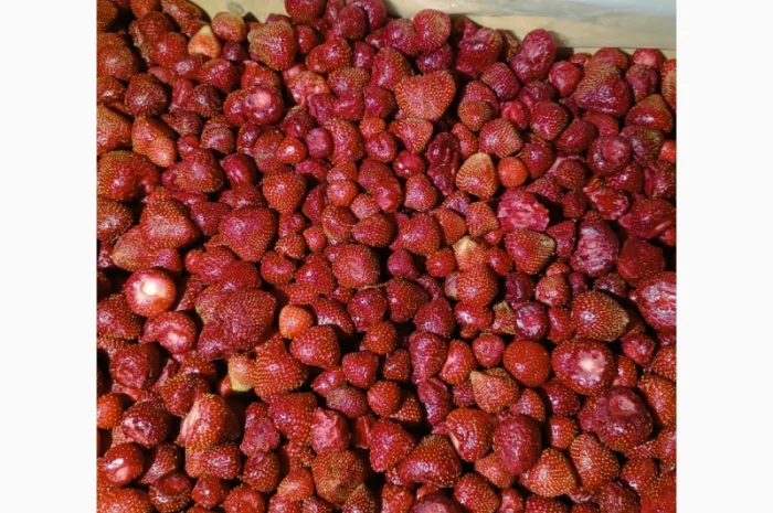 Продам заморожену полуницю- фото № 8