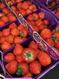 Полуниця Мармелада | Гурт від 3 тонн | Врожай 2025- фото № 1