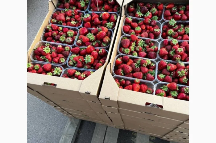 Продам полуницю- фото № 1