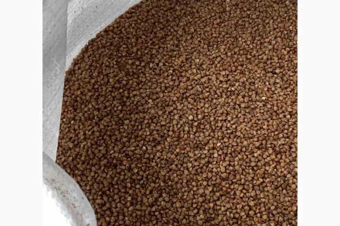 Гречана крупа смажена- фото № 1