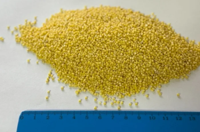 Продамо Пшоно / Полтавська область- фото № 1