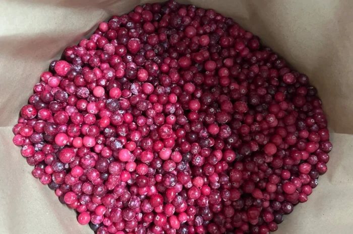 Продам журавлину- фото № 3