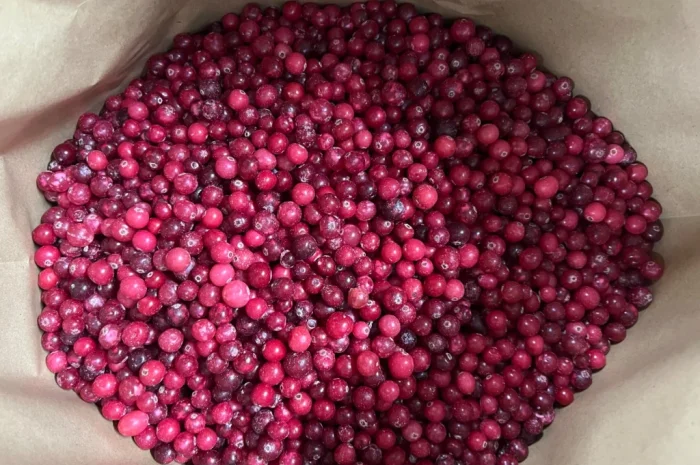 Продам журавлину- фото № 4