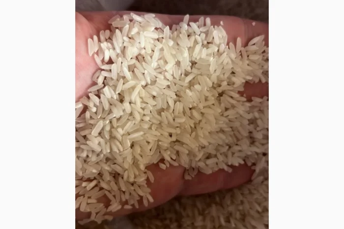 Рис довгий (Пакістан) 5%- фото № 1