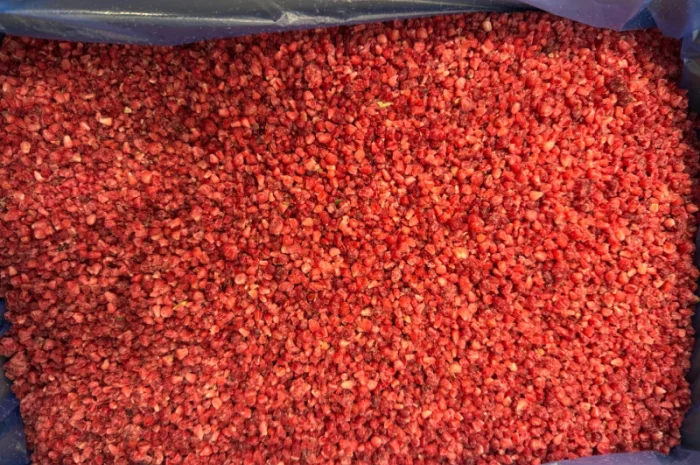 Продается малина сорта Грис- фото № 1