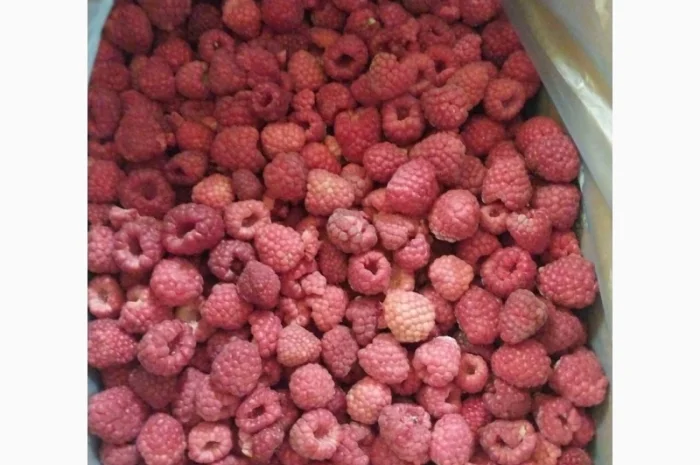 Куплю заморожену малину- фото № 1