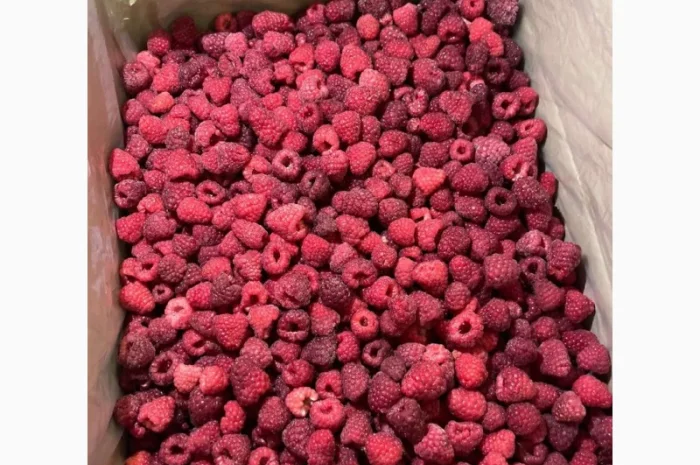 Продам малину оригінал- фото № 1