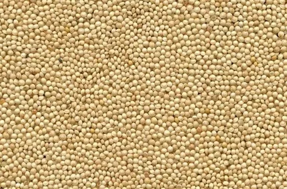 Крупа амарантова шліфована (продаж) 30кг- фото № 3