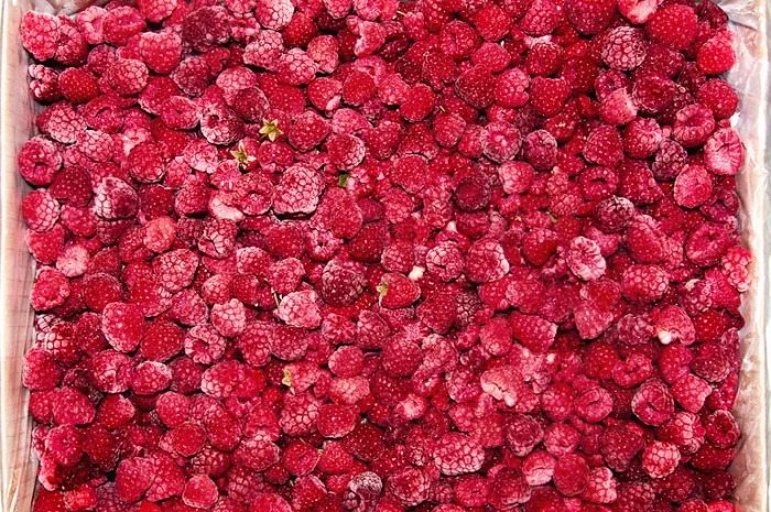 Куплю малину свіжу та заморожену - 90/10- фото № 1