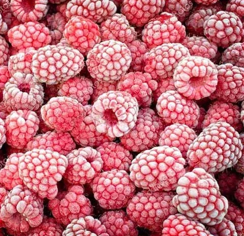 Продам Малину Замороженную Малина Замороженная- фото № 1