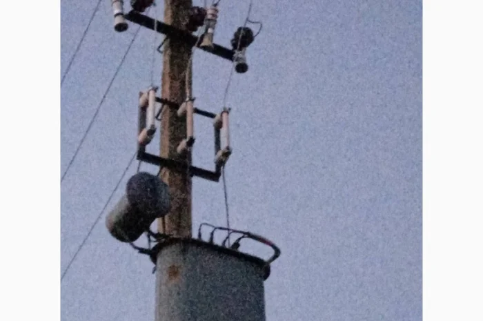 Продается готовый бизнес – плантация малины 2 га- фото № 9