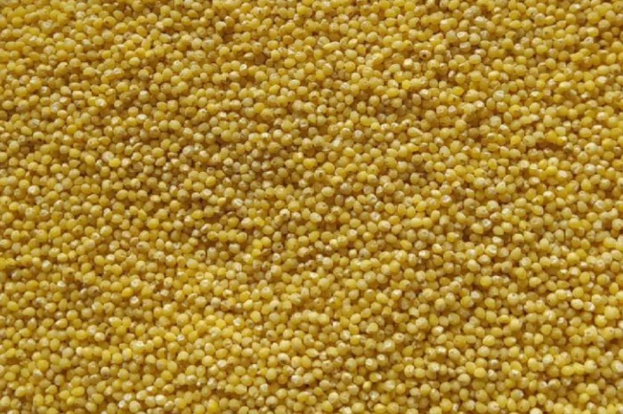 Продается пшено 25 кг- фото № 1