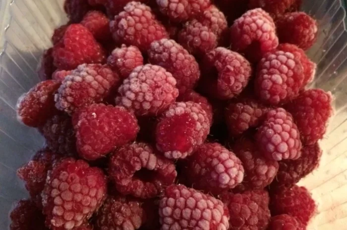 Продам малину заморожену- фото № 1