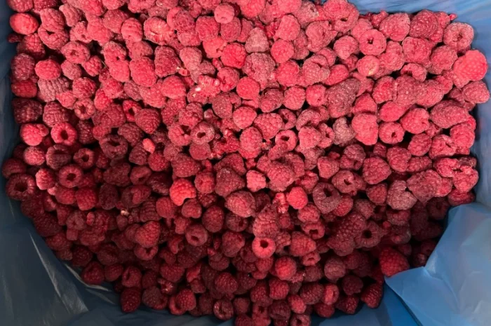 Продам заморожену : Малину (90/10- фото № 1