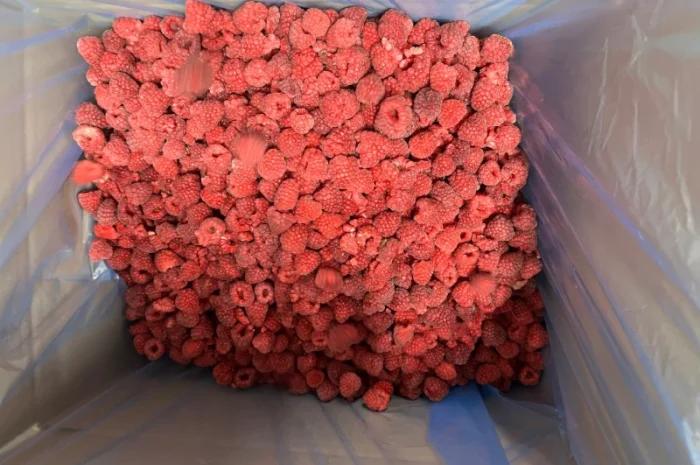 Продам заморожену : Малину (90/10- фото № 3