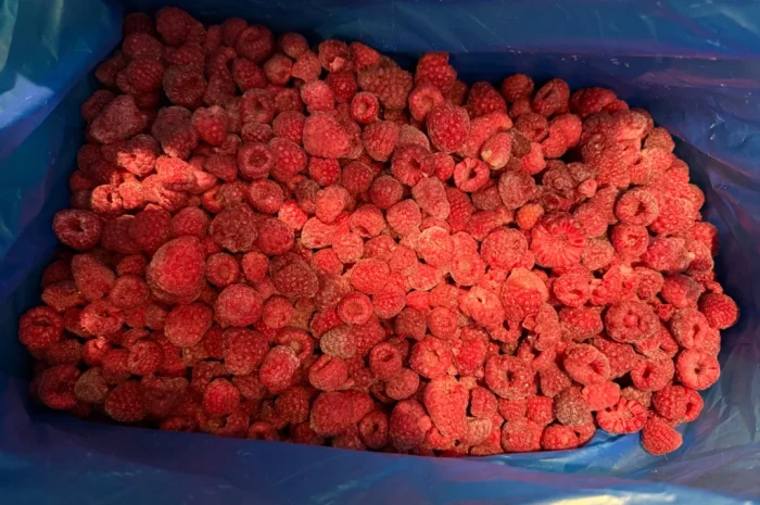 Куплю органічну малину- фото № 1