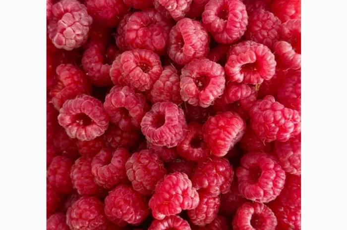 Купуємо заморожену малину оптом- фото № 1