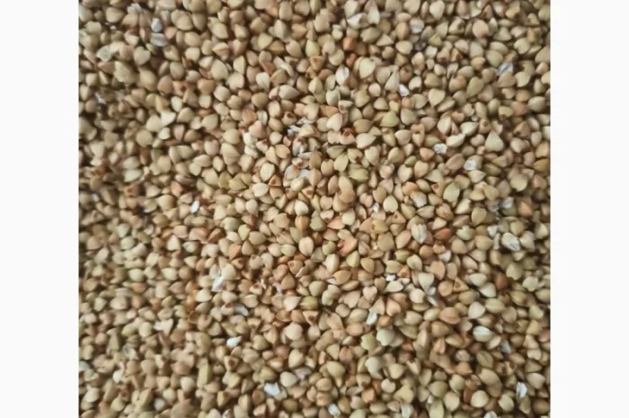 Продается гречневая крупа зеленая оптом- фото № 1