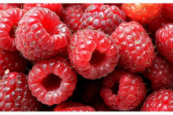 Купимо малину- фото № 1