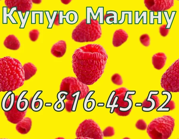 Куплю Малину- фото № 1