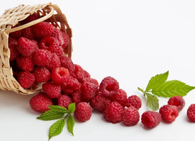 Закупаю малину от населения и заготовителей- фото № 1