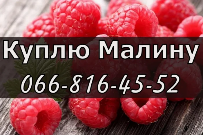 На постійній основі- фото № 1