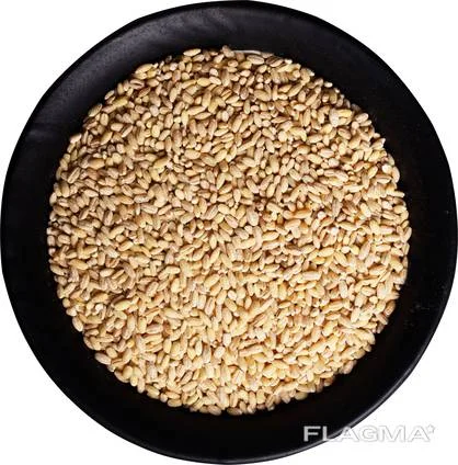 Крупа перлова власного виробництва у продажу- фото № 1