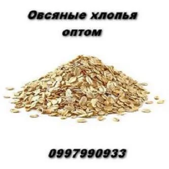 Вівсяні пластівці в мішках по 25 кг оптом- фото № 1