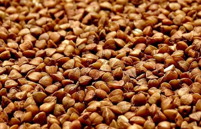 Крупзавод пропонує співпрацю- фото № 1