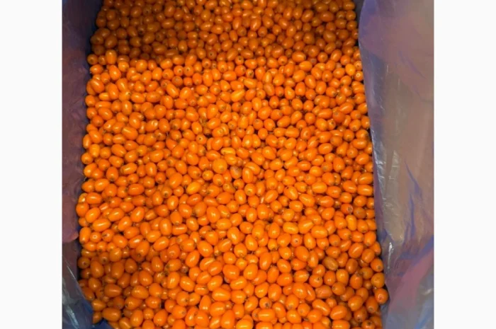 Продам Заморожену Ягоду Обліпихи- фото № 1