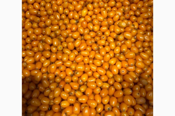 Продам Заморожену Ягоду Обліпихи- фото № 2