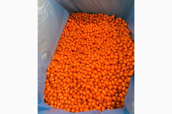 Продам Заморожену Ягоду Обліпихи- фото № 4