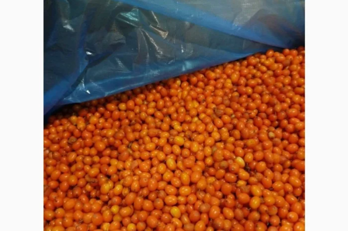 Продам обліпиху заморожену- фото № 1