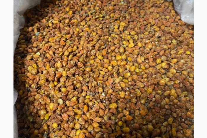 Продам обліпиху сушену- фото № 2