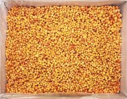 Продам Облепиху 40 тонн- фото № 1