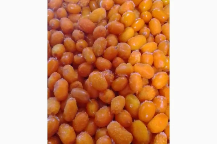 Продам обліпиху заморожену оптом від 10 тонн- фото № 1