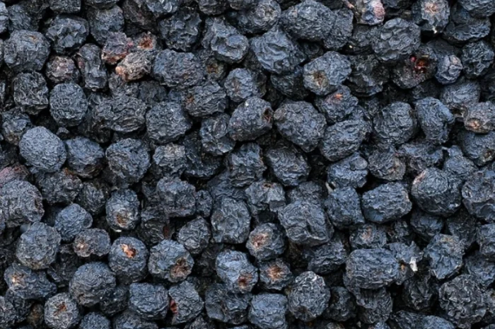 Продам сушену чорну горобину- фото № 1